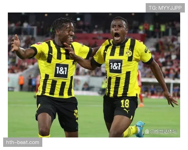 多特蒙德迎新星加盟，球队竞争力显著提升引关注